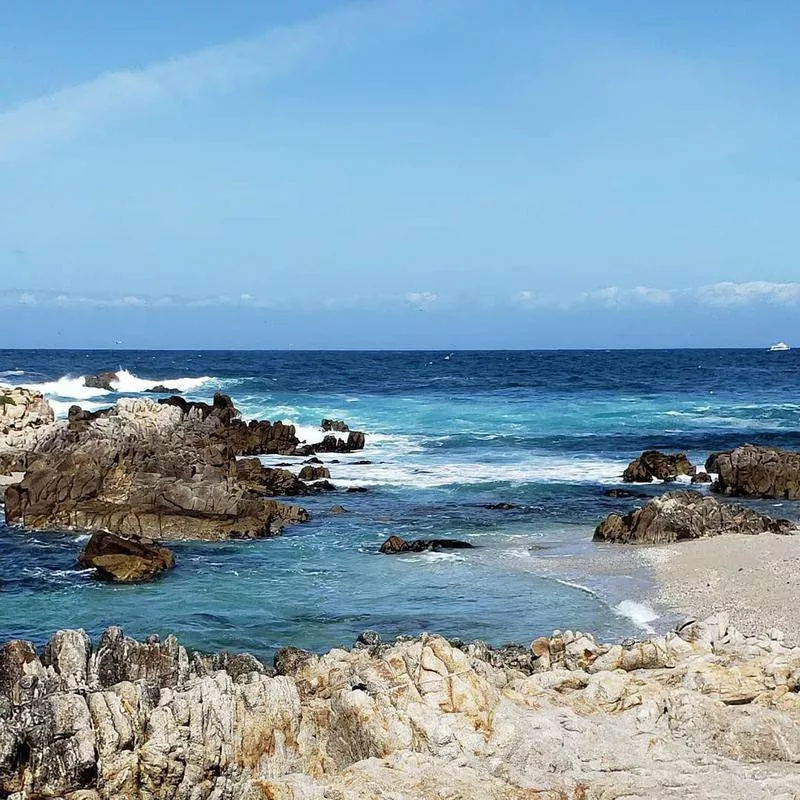 Asilomar State Beach