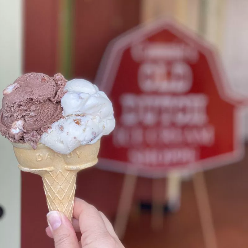 Cammie's Old Dutch Ice Cream in Mobile