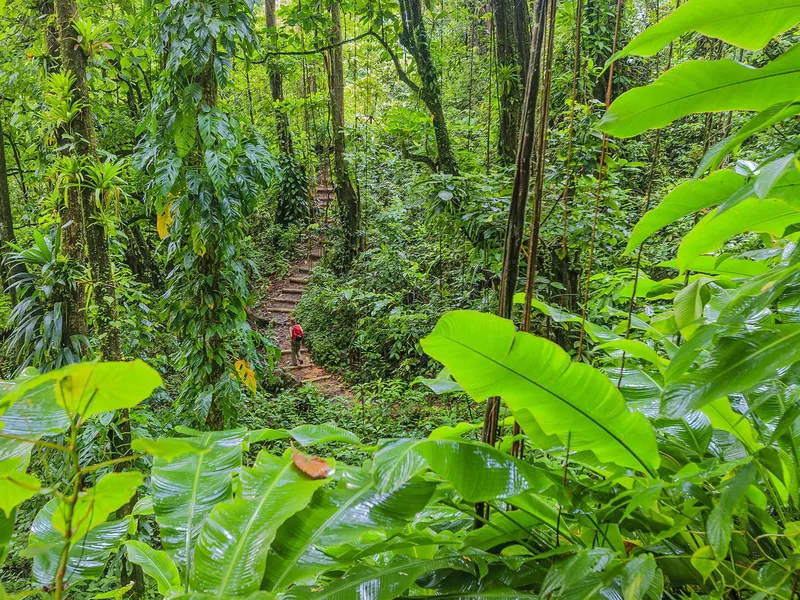 Vermont Nature Trail in St. Vincent