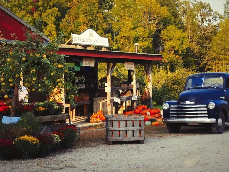 Vermont orchard