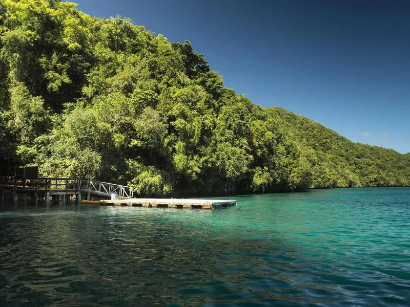 Rock Islands and Jellyfish Lake