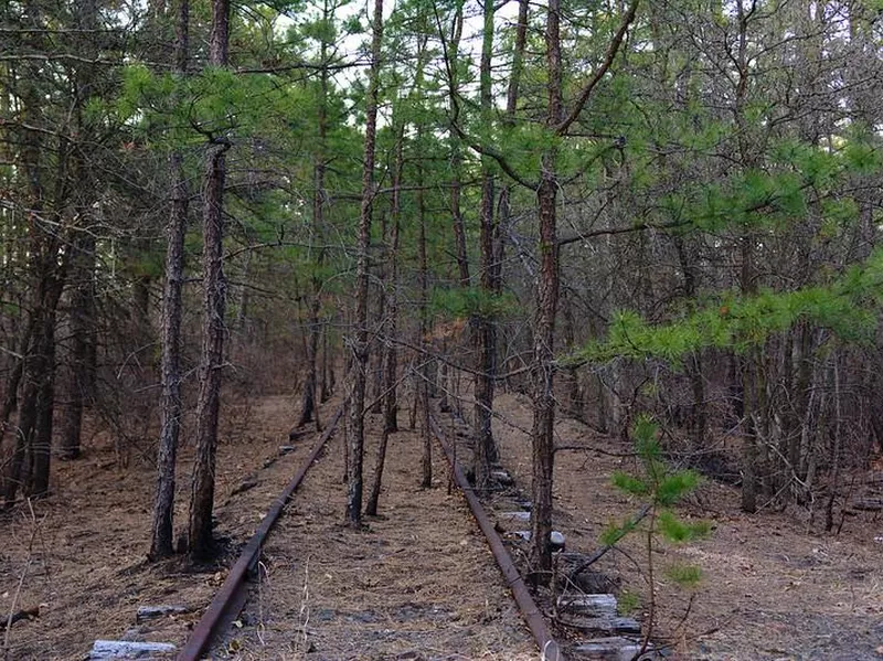 Pine Barrens, New Jersey