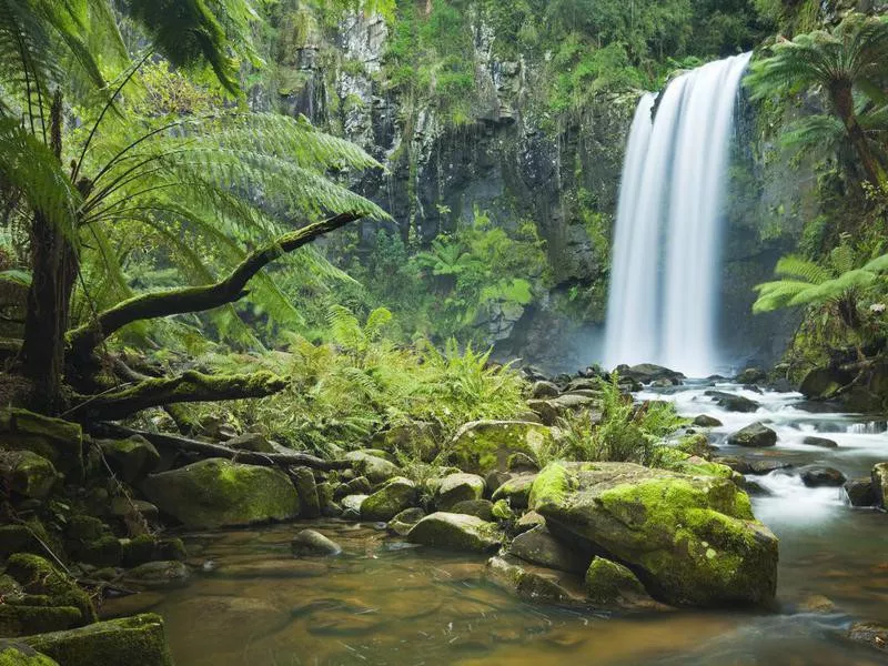 Great Otway National Park