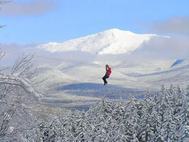 Alpine Adventures