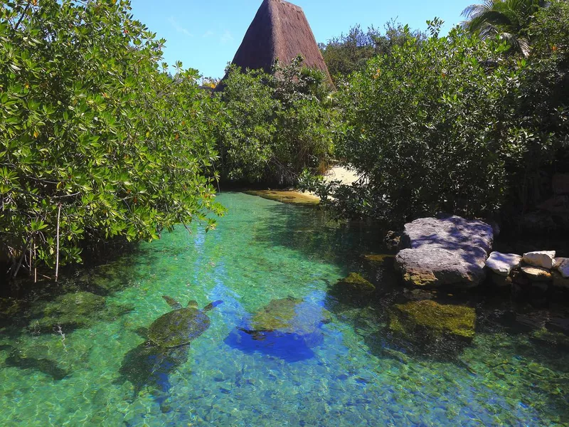 Xcaret park river