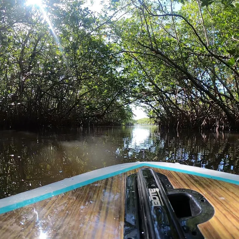 St. Lucie Inlet Preserve State