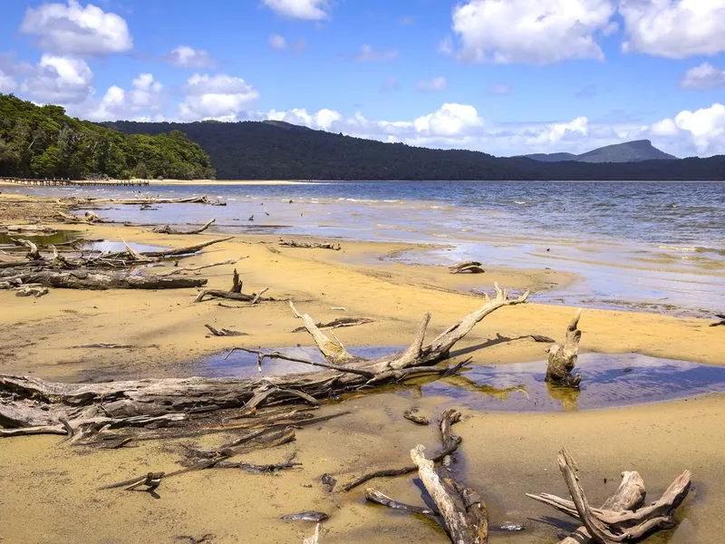 Lake Hauroko beach