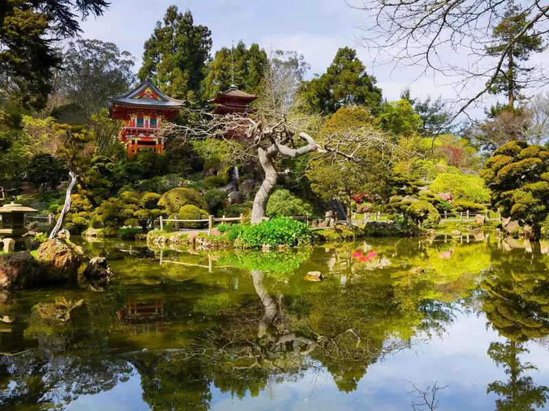 Golden Gate Park