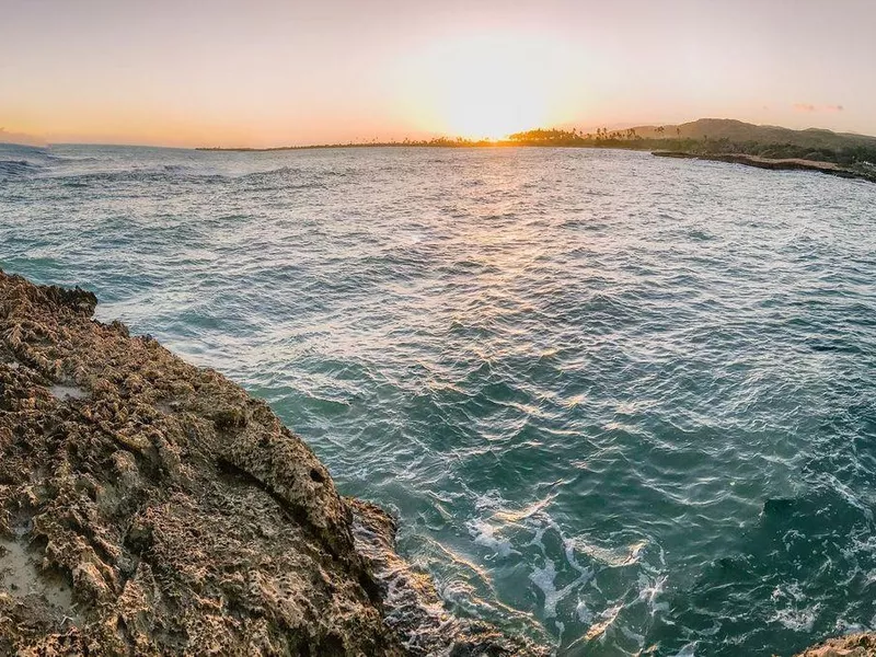 Guanica State Forest, Puerto Rico