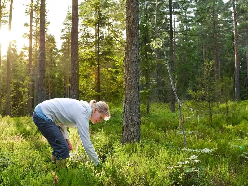 Woman in forest in Finland