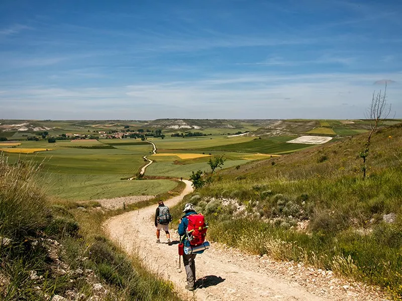 The Camino de Santiago