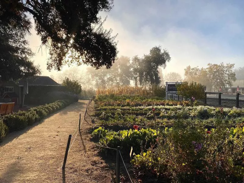 Long Meadow Ranch Winery & Farmstead