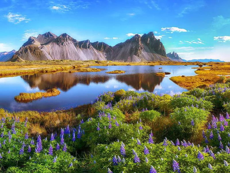 Stokksnes cape in Iceland