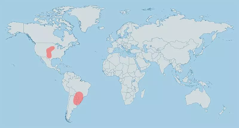 tornado map