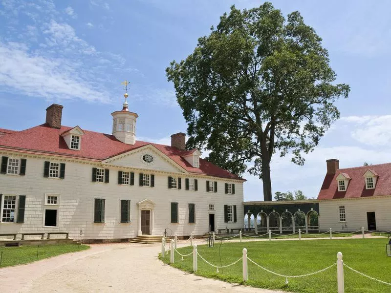 mount vernon