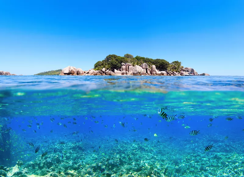 Snorkeling seychelles