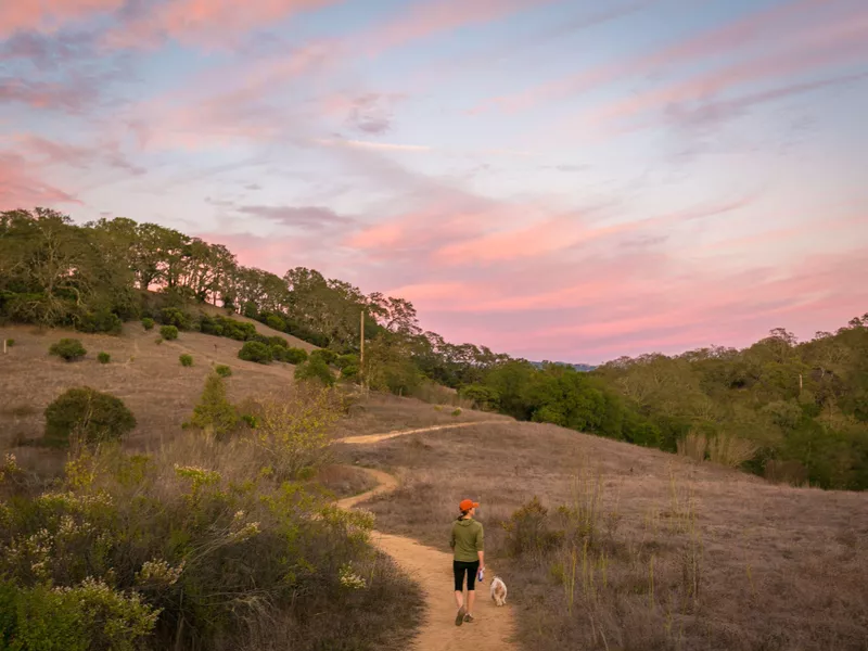 Healdsburg Ridge Open Space Preserve hiking