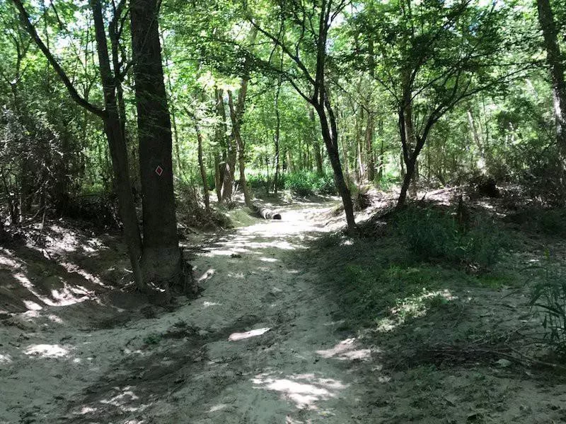 Bogue Chitto State Park Gorge Run Trail