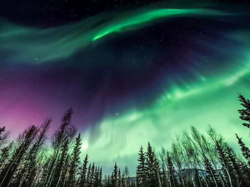 Northern Lights in Fairbanks, Alaska