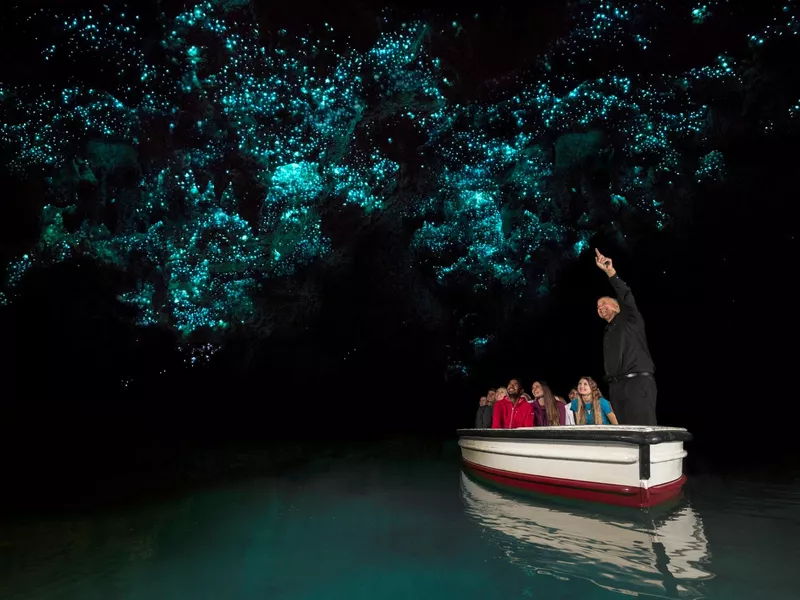 Waitomo glow worm caves