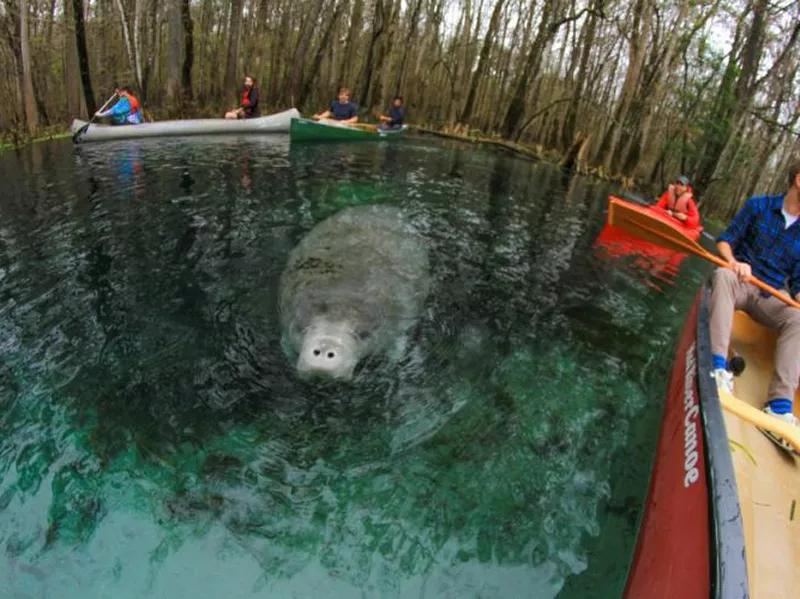 Ichetucknee Springs