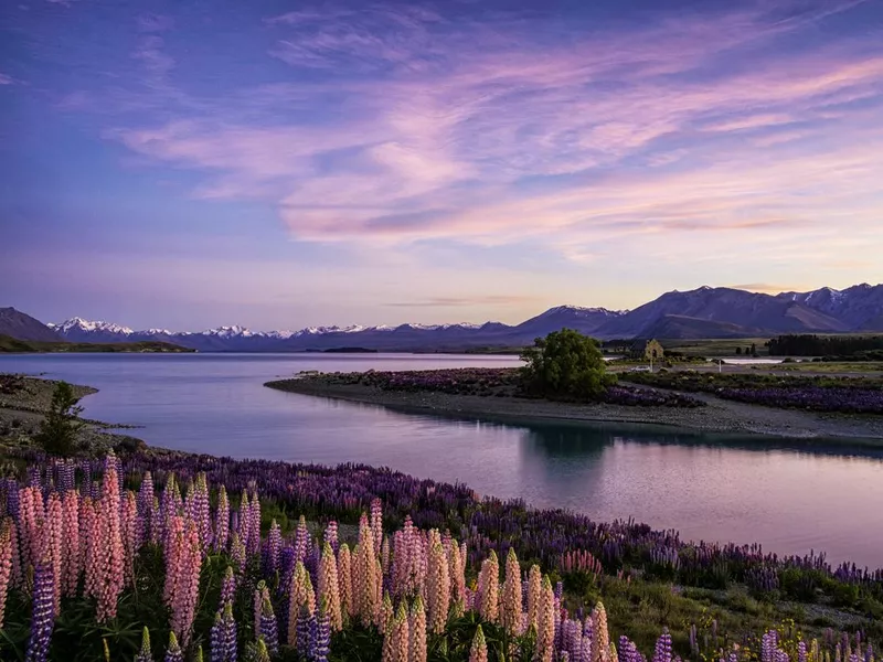 Lake Tekapo At Dawn, New Zealand South Island