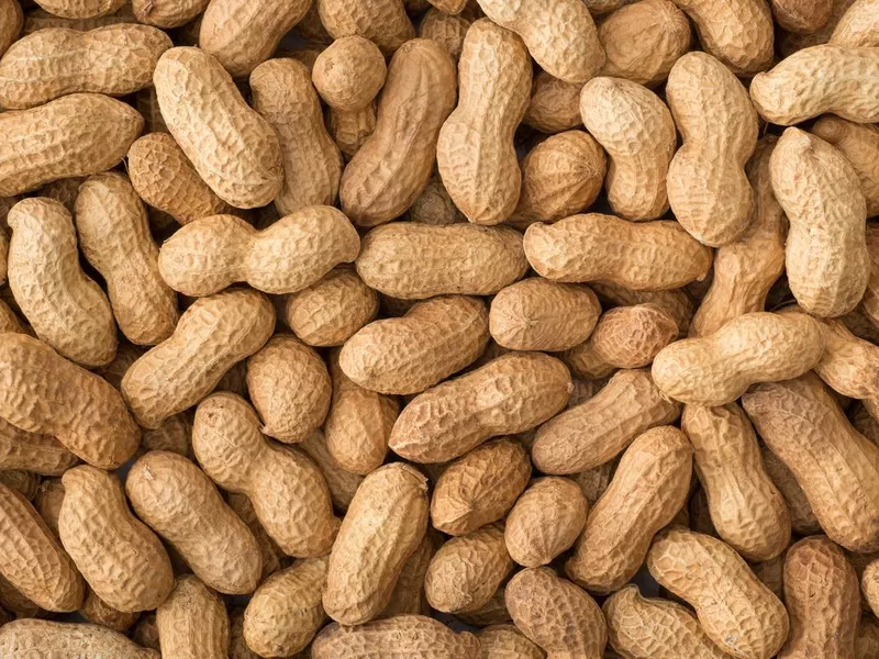 Peanuts