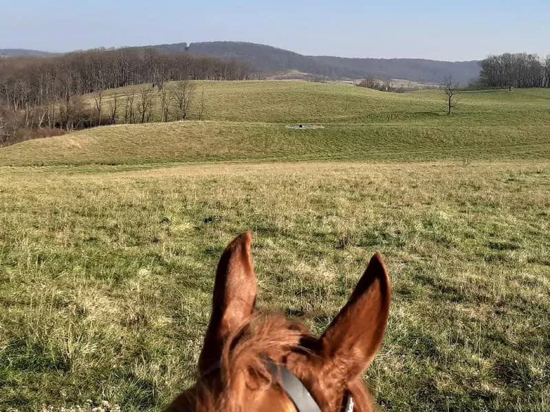 Horseback riding in Sky Meadows