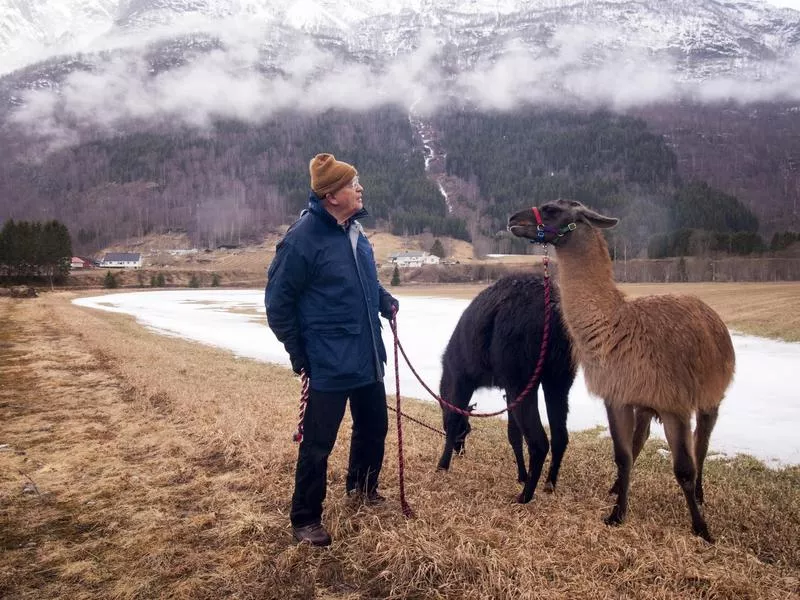 Farm in Norway