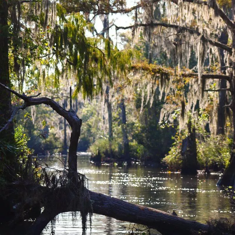 Pascagoula River