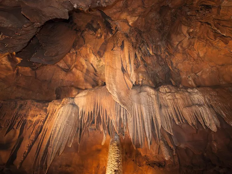 Mammoth Cave National Park