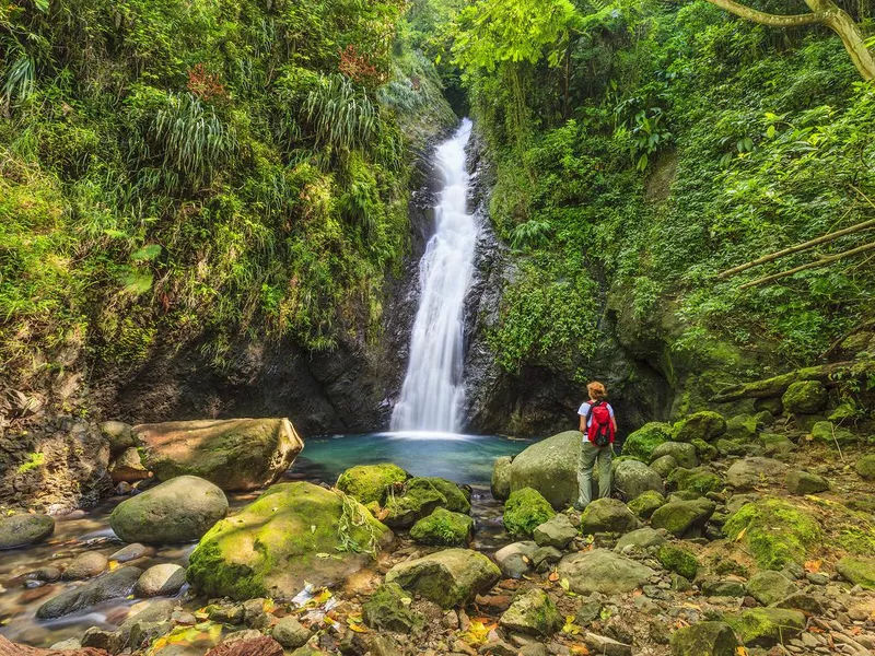 Au Coin Falls, Grenada