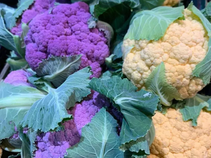 Cauliflower at the Historic Soulard Farmers Market