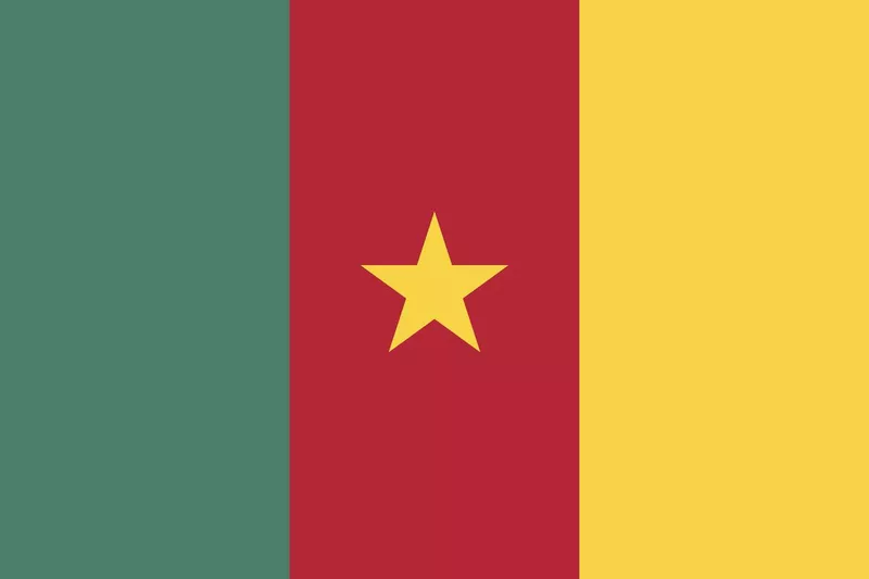 Flag of Cameroon