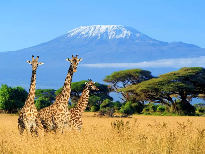 Mount Kilimanjaro