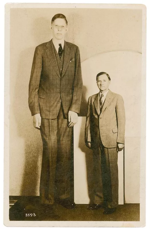 Robert Wadlow