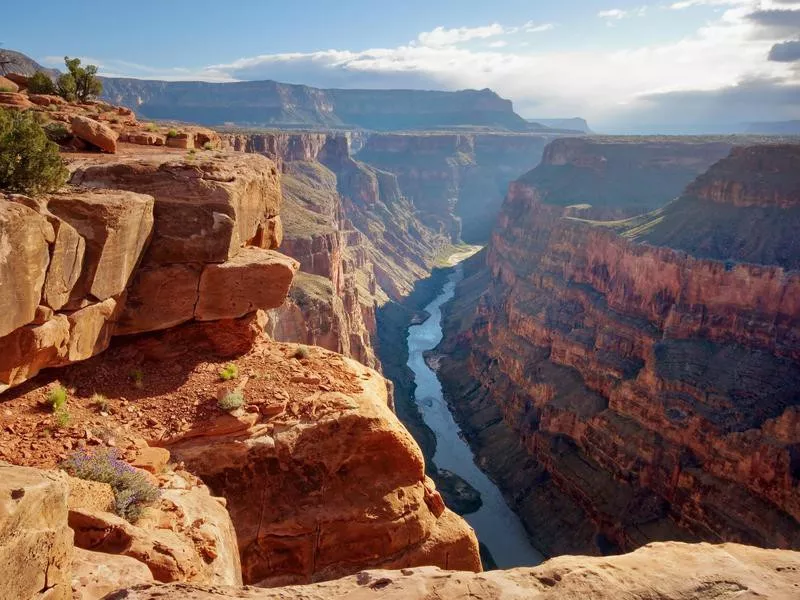 Grand Canyon River