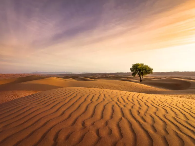 Oman desert