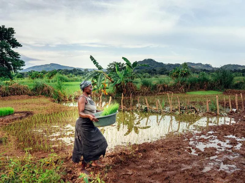 Malawi