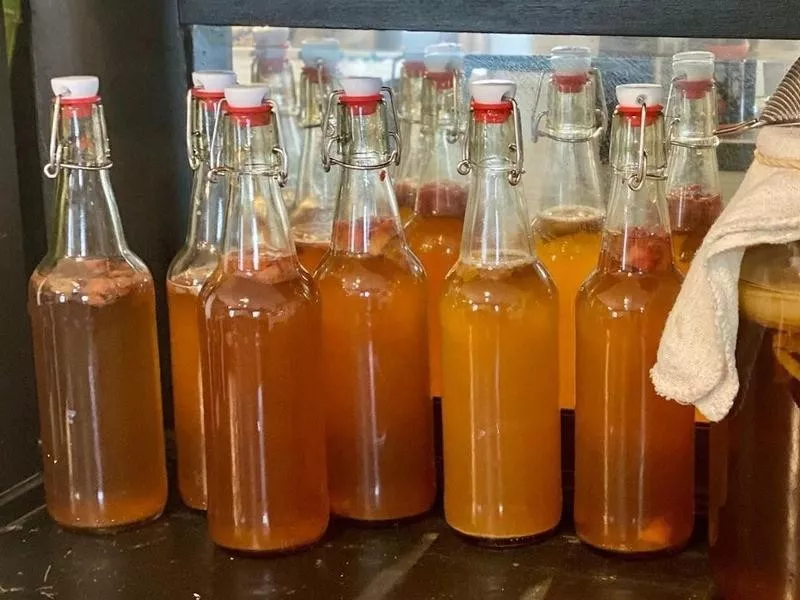 Kombucha