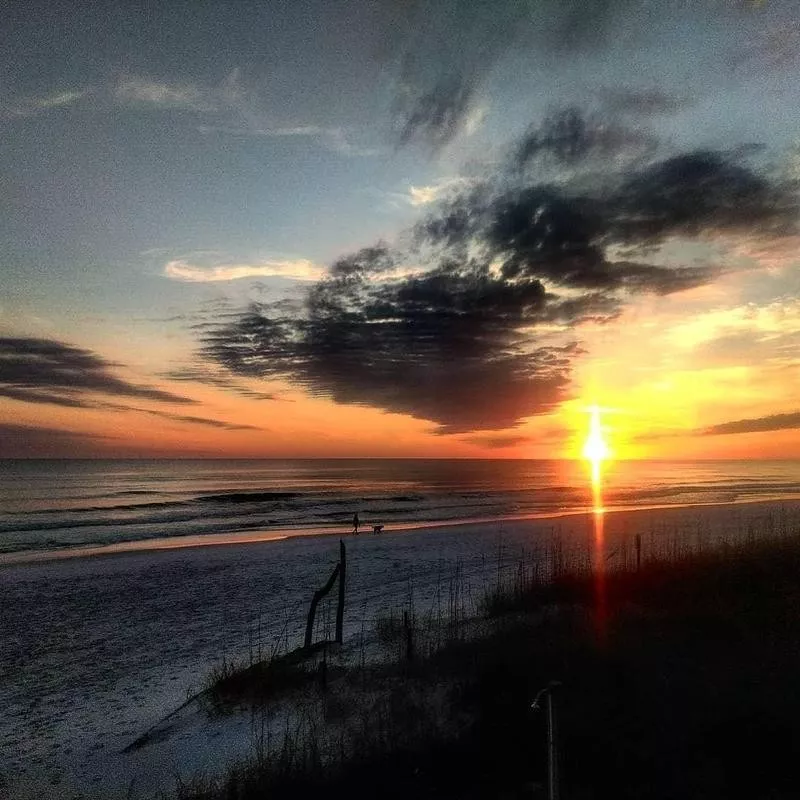 Henderson Beach State Park