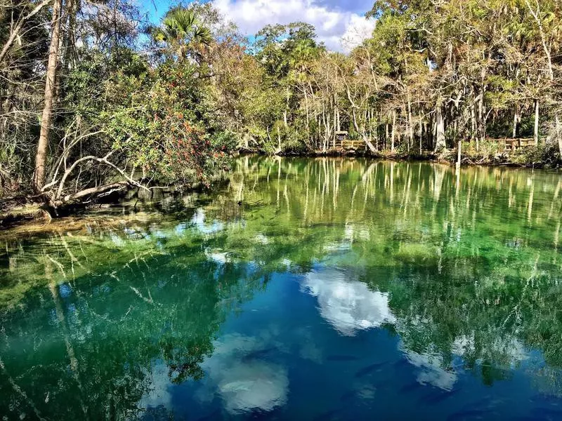 Crystal River Springs, Florida