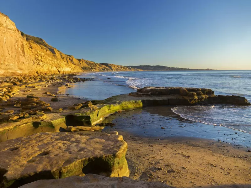 Torrey Pines State Beach in San Diego California