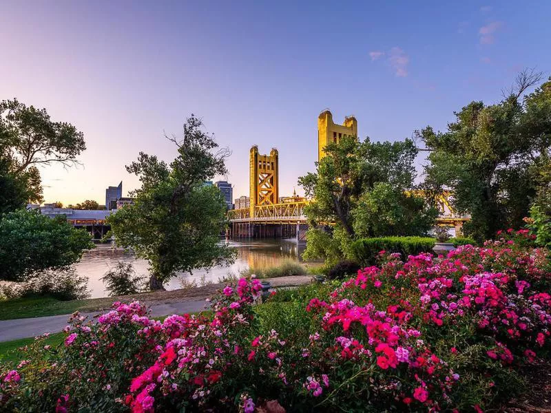 sacramento downtown in the spring