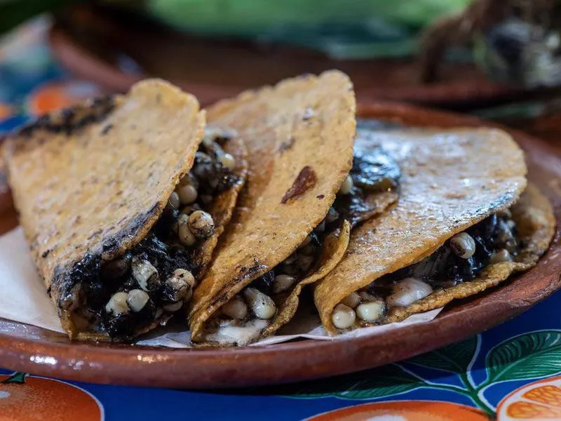 South Philly Barbacoa