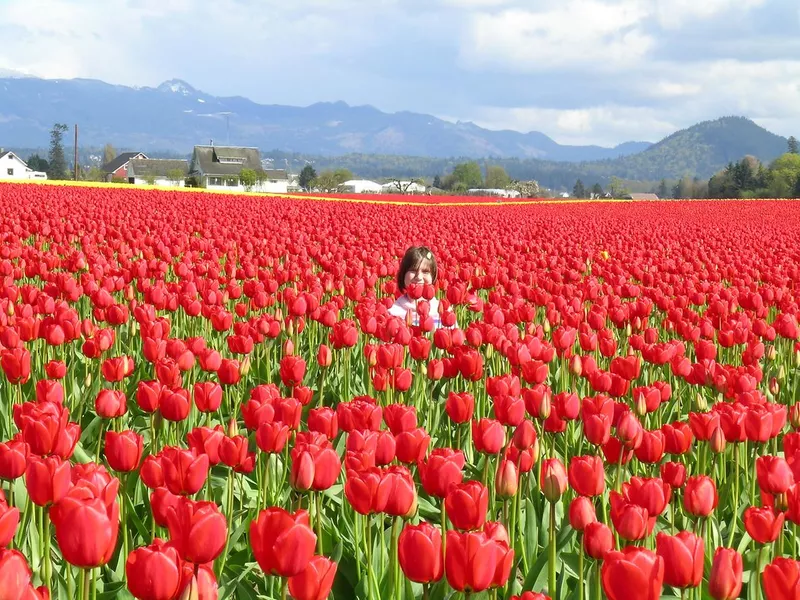 Oasis in a Sea of Red