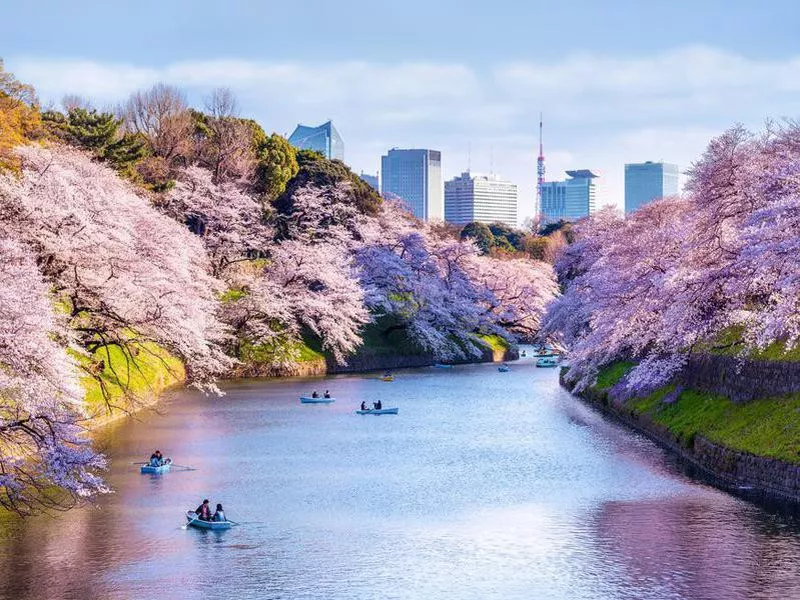 tokyo