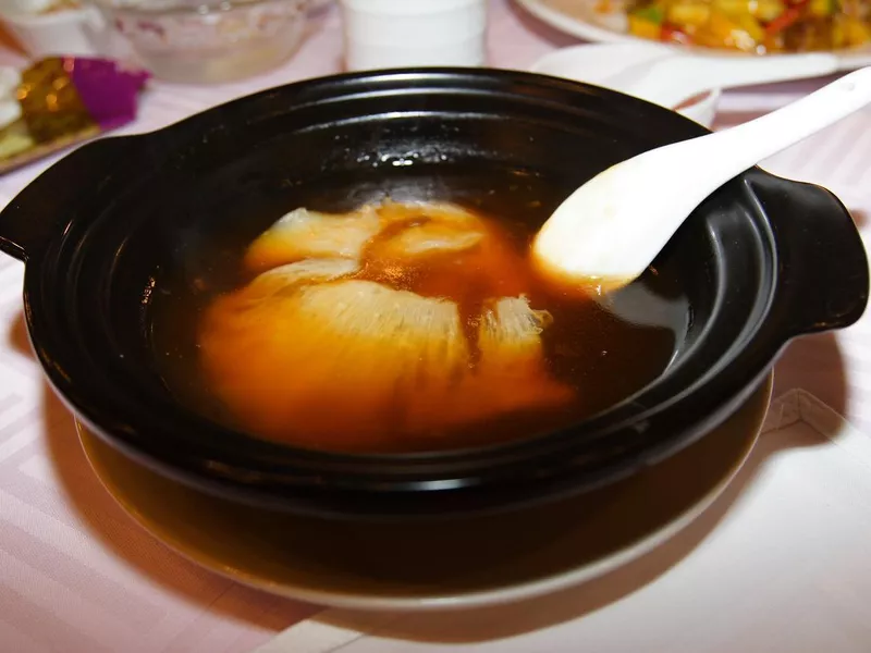 Shark's Fin Soup