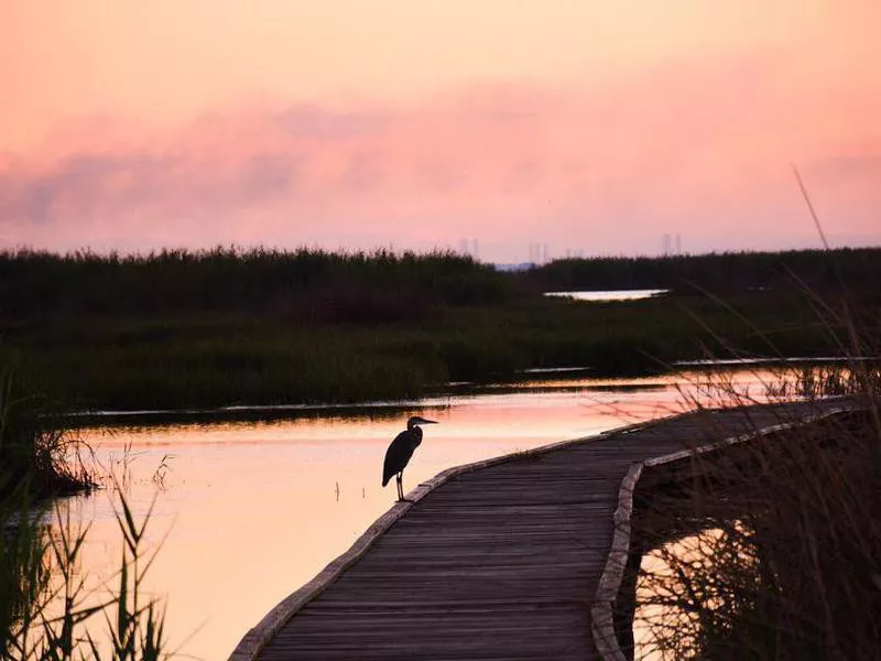 Port Arthur, Texas