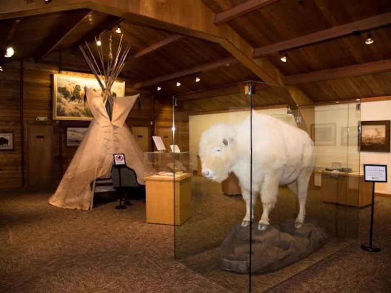 National Buffalo Museum